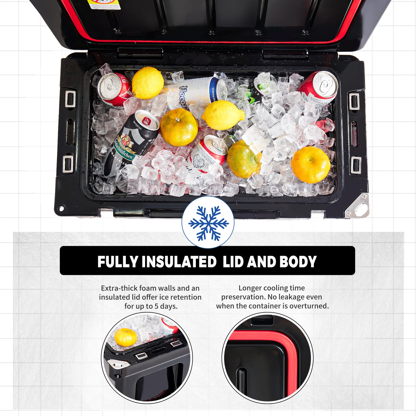 EchoSmile 35 qt. Rotomolded Cooler
