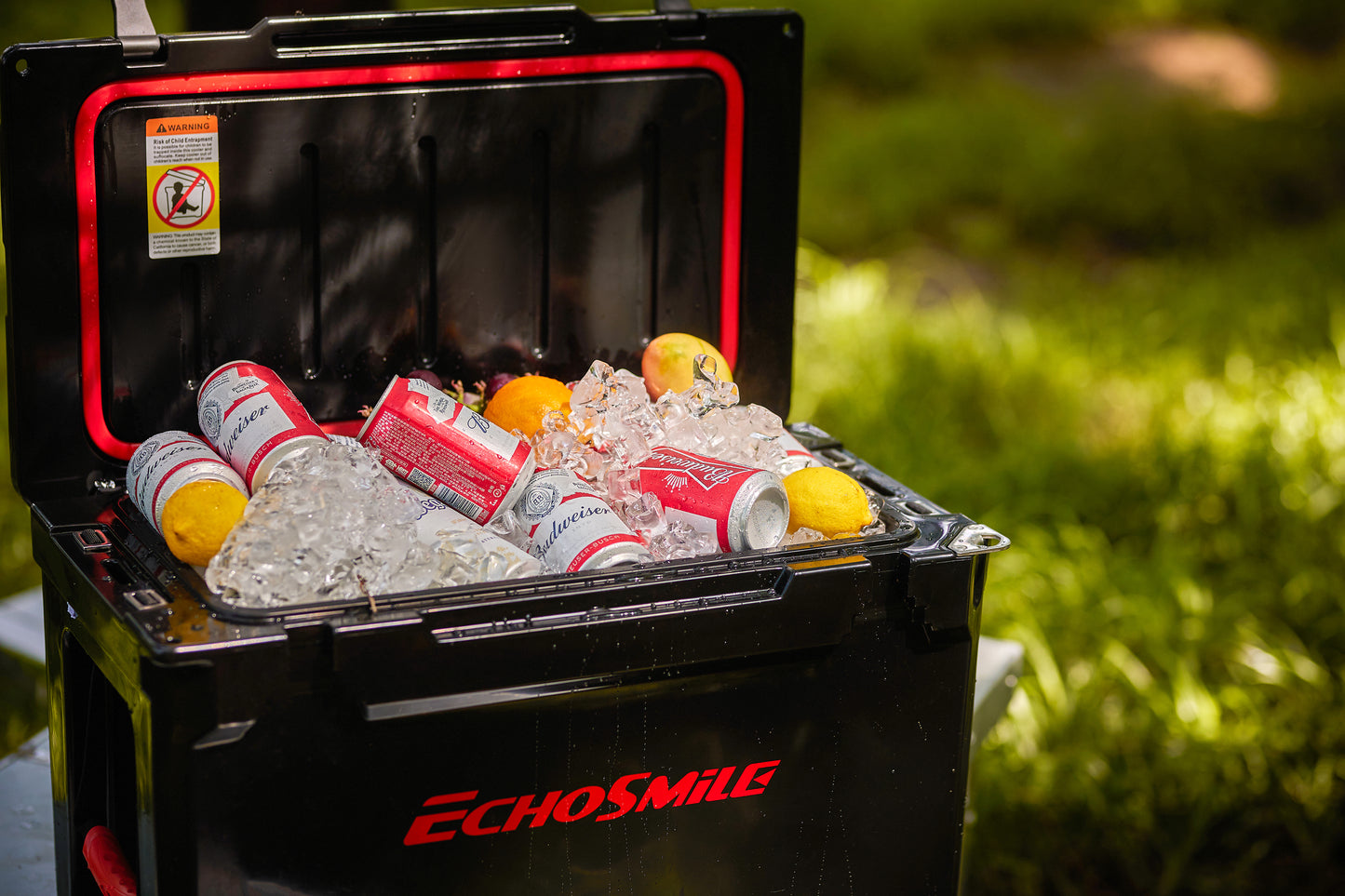 EchoSmile 40 qt. Rotomolded Cooler